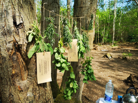 🔥🌿Celebrate the Wild: A Lammas Sister Circle Ceremony & Day Retreat 🌸✨  Saturday 2nd Aug 11am - Evening  🔥🌿