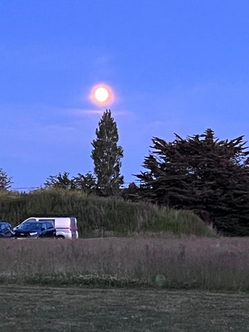 The Goddess Island Summer Solstice Sacred Sister Circle Celebration Retreat