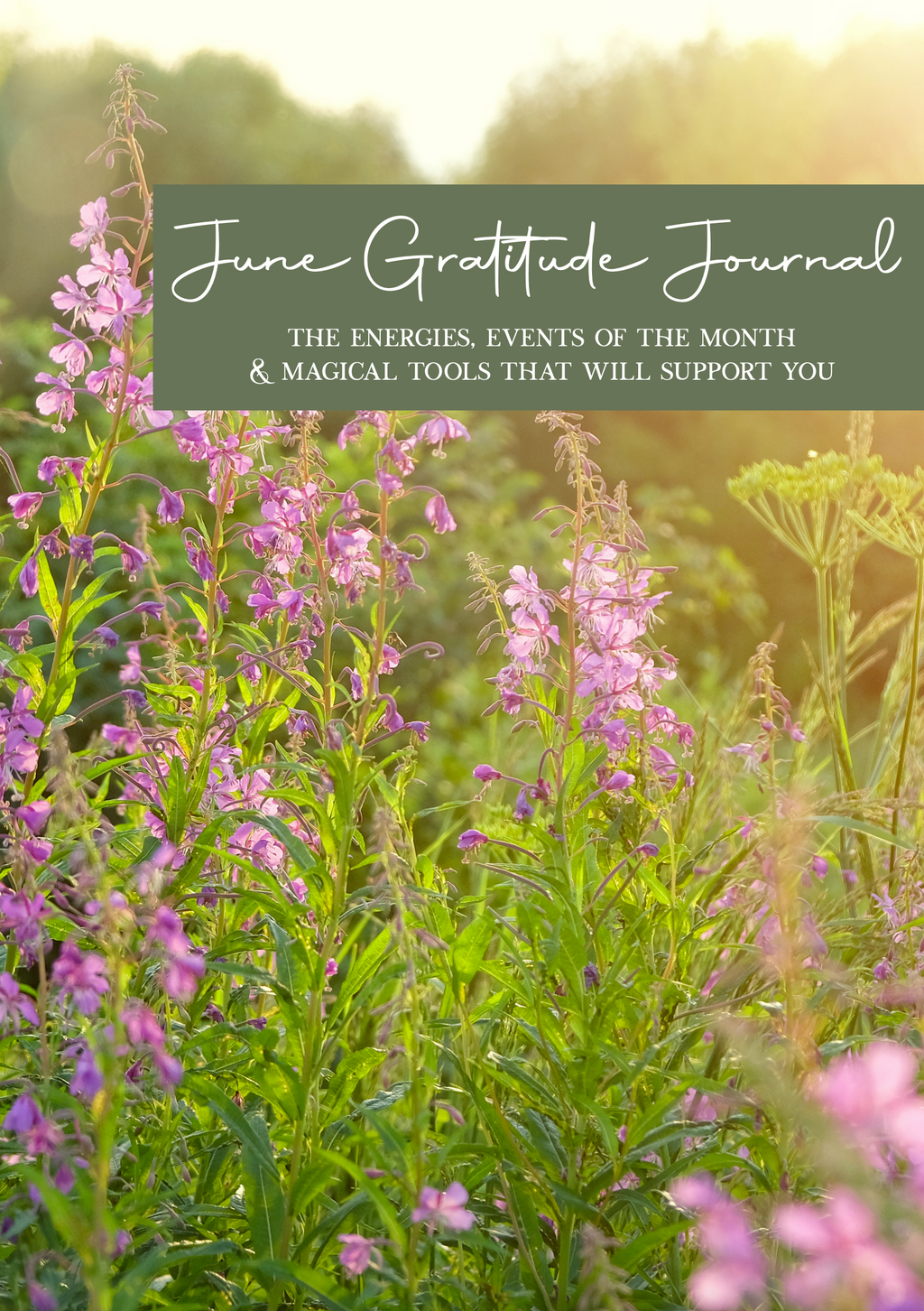 June Gratitude Journal