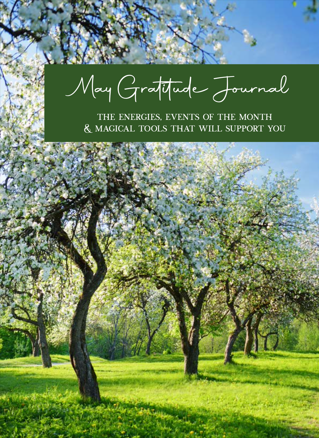 May Gratitude Journal