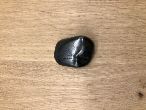 Shungite Holistic Healing stone with explanation and crystal