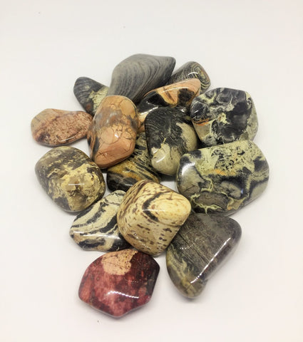 Emotionally grounding Silver Leaf Jasper Holistic Healing Stone